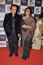 at Radio Mirchi music awards red carpet in Mumbai on 7th Feb 2013 (51).JPG